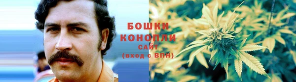 сатива Армянск