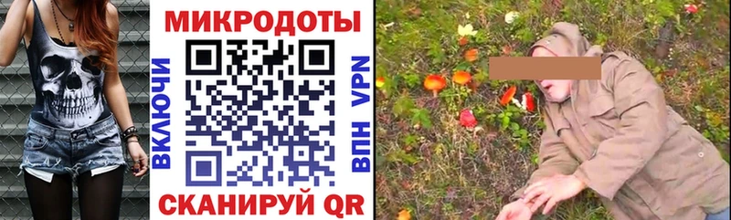Купить где  Болохово  Псилоцибиновые грибы GOLDEN TEACHER 